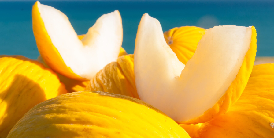 Melone Giallo