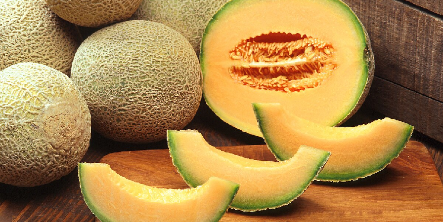 Melone Retato