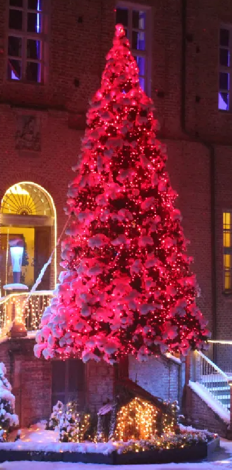 Natale